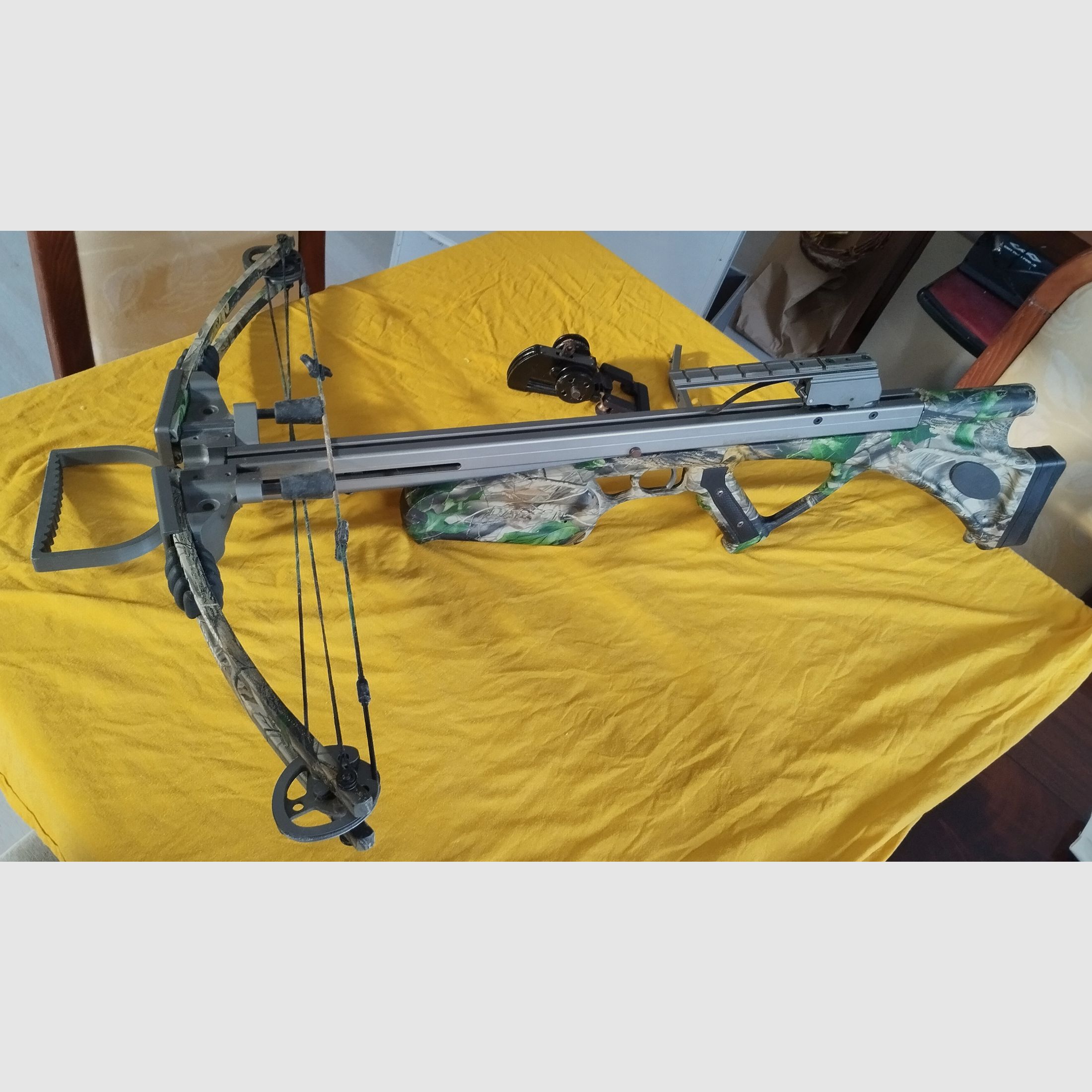 Darton Lightning 2010 Crossbow