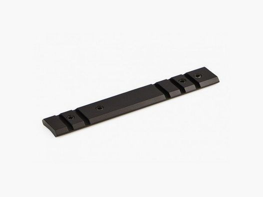 Basis WARNE Maxima – RUGER 10/22 10 MOA