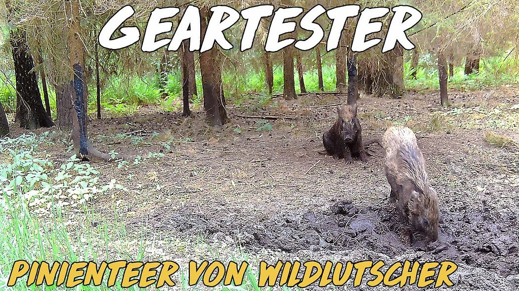 Pinienteer von Wildlutscher im Test