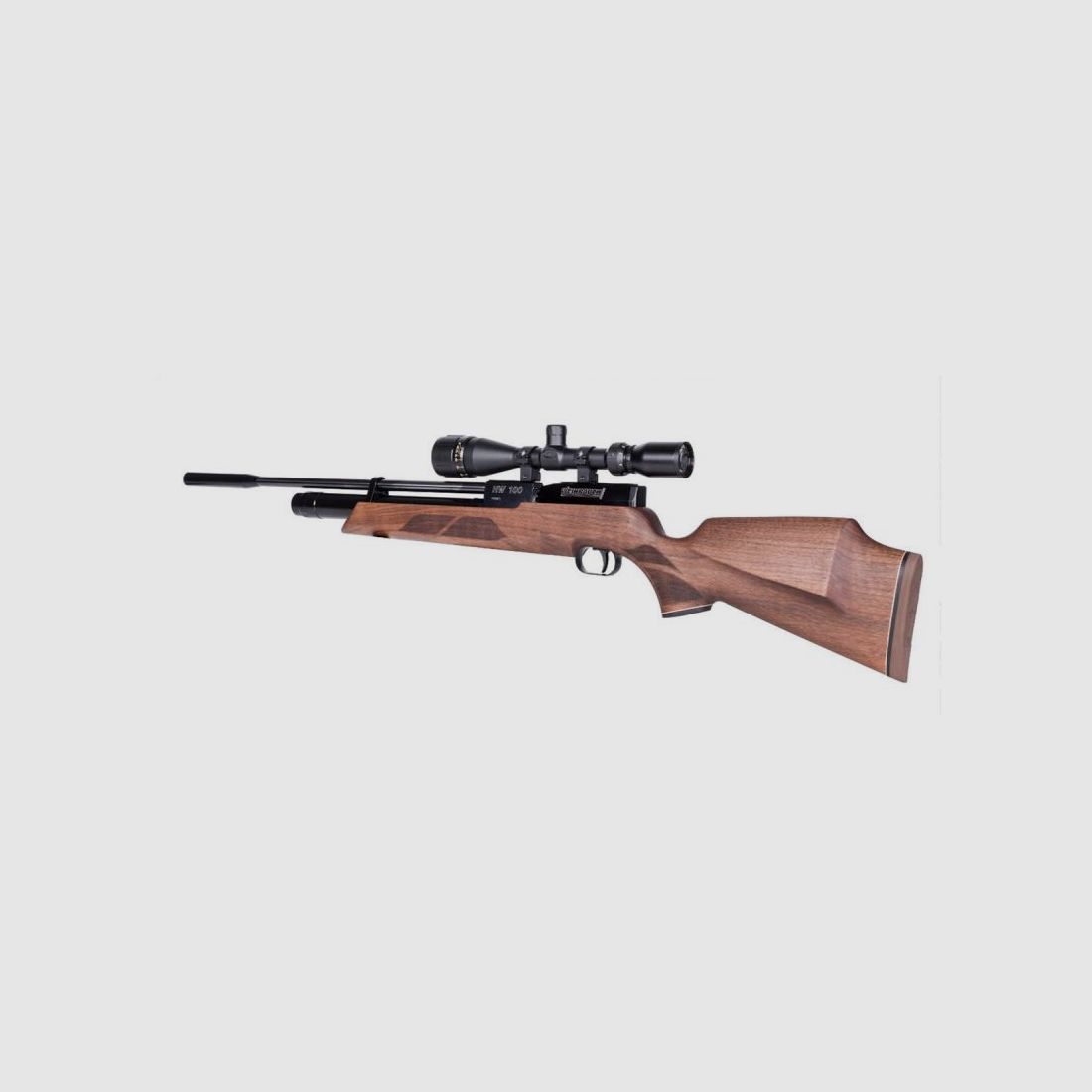 Weihrauch HW100S