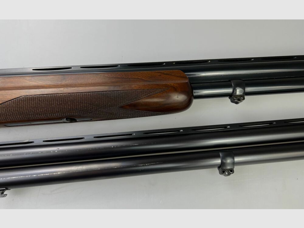 Rottweil Trap Montreal