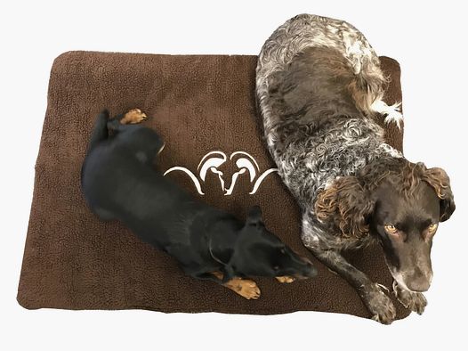 Blaser Hundebett