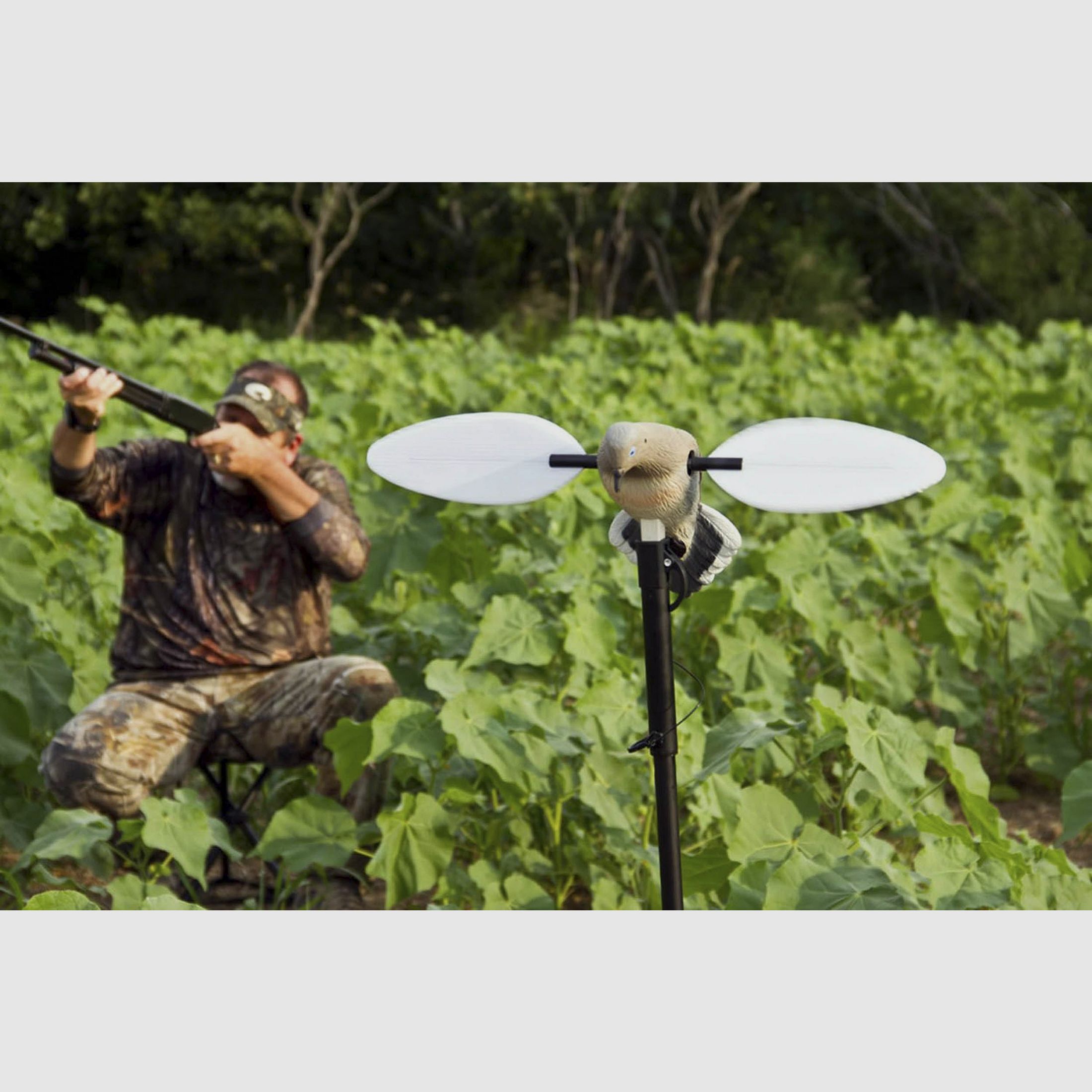Mojo Outdoors drehbare Taubenlockvogel, Bild 7 von 7
