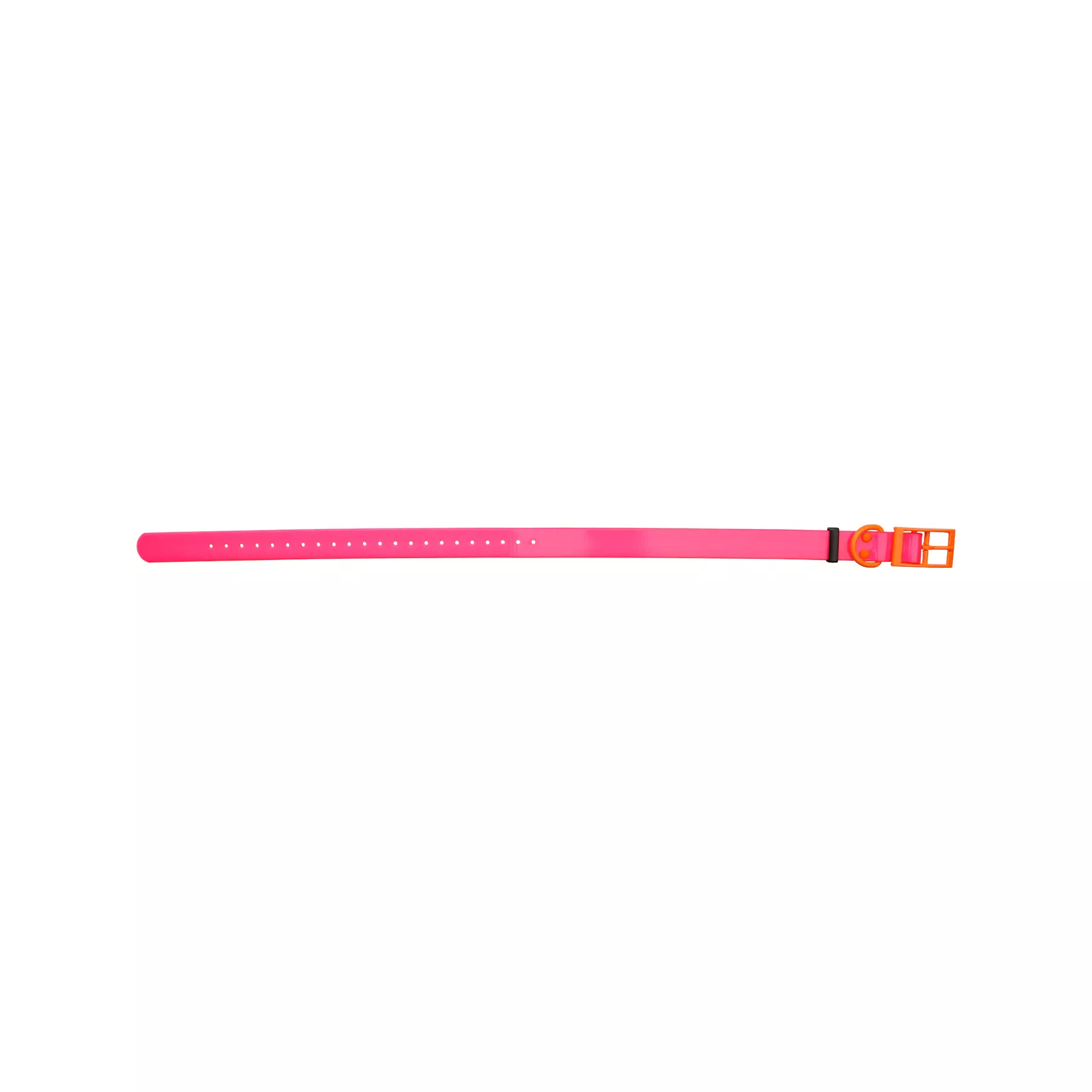HP&G Collare per cani 25mm Rosa, immagine 1 di 3
