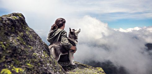 Alten Hund neu prägen: Ein Ratgeber zur Umerziehung älterer Hunde