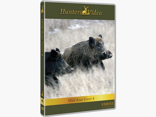 NOUVEAU Fièvre du Sanglier 4