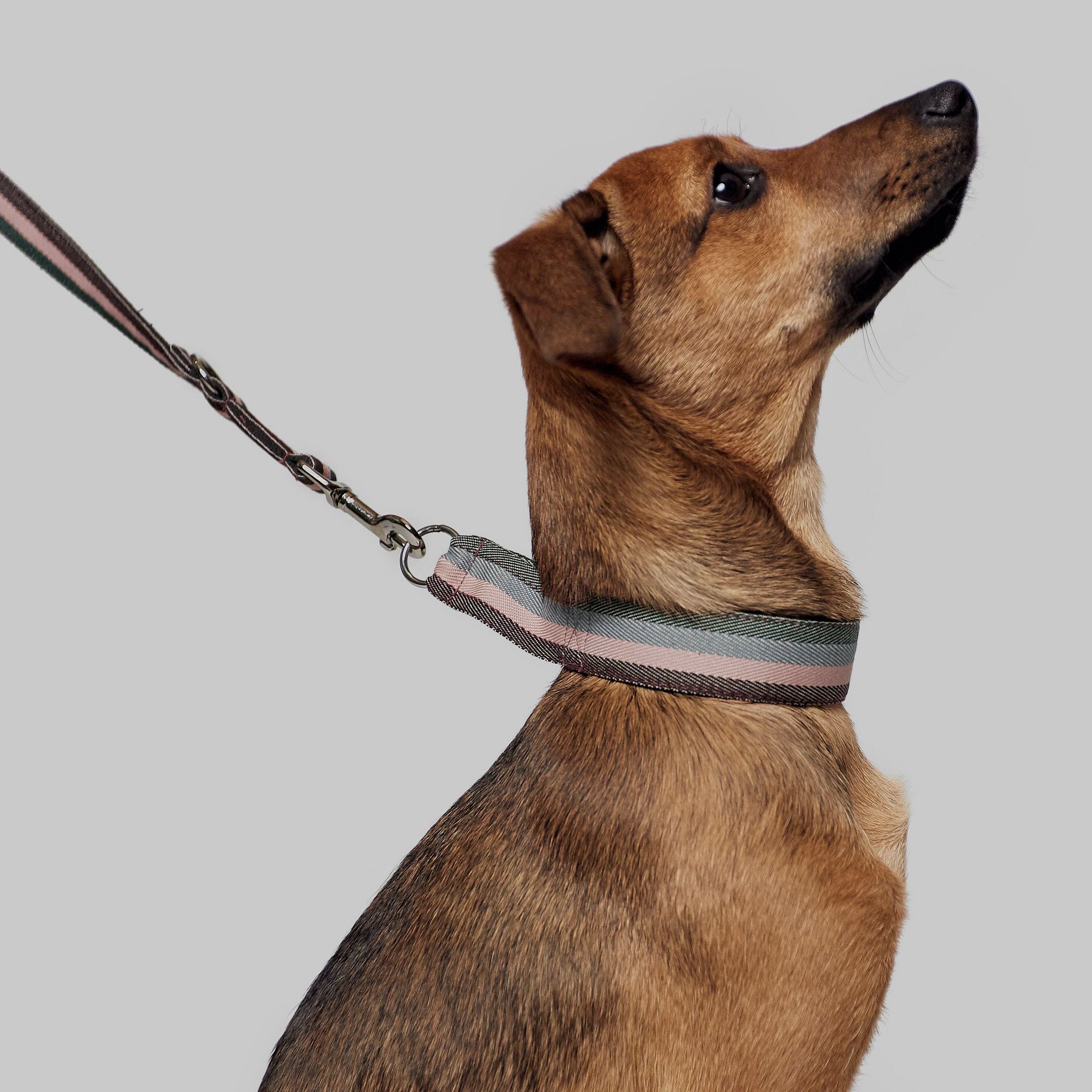 Halsband Grace, billede 5 af 5
