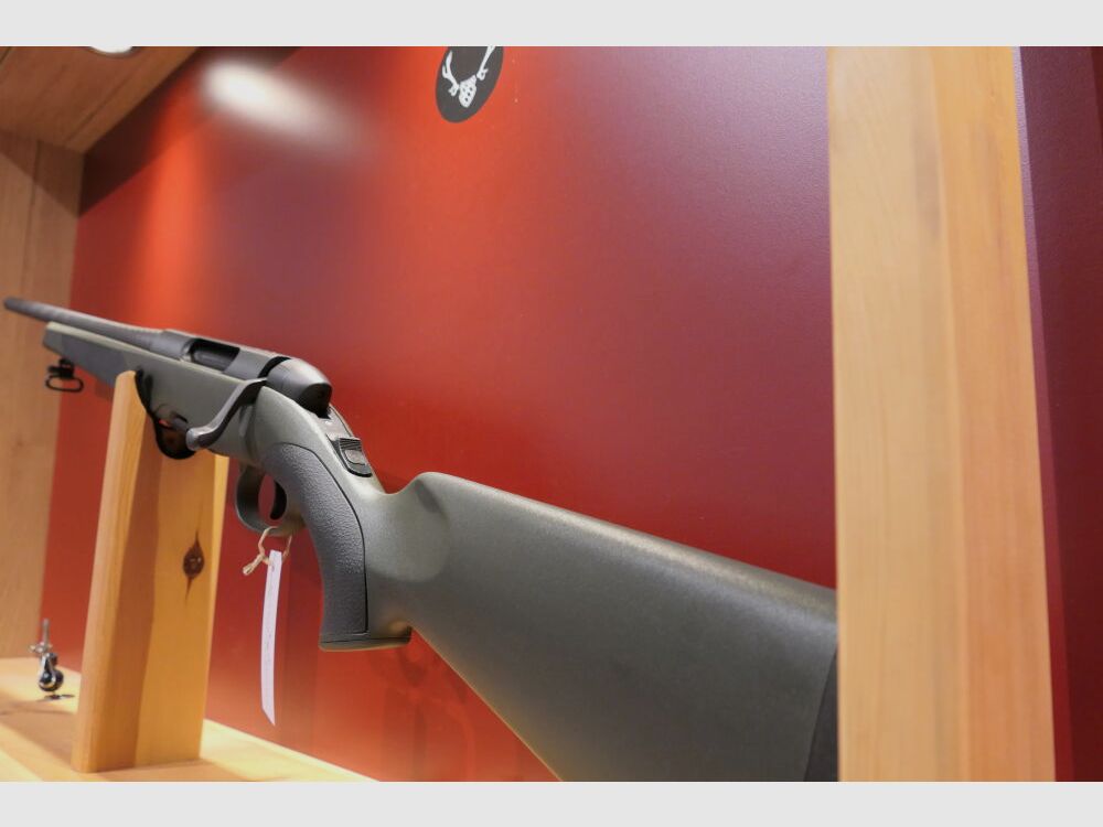 Steyr Arms SM12 SX versión de enlace