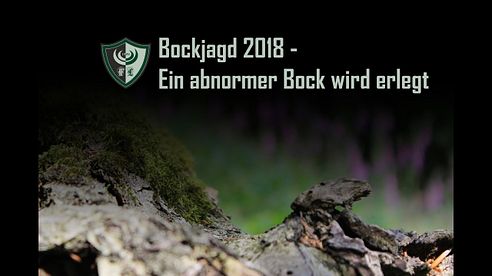 Bockjagd 2018 - Ein abnormer Bock wird erlegt.