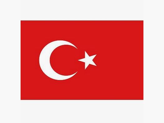 Flagge der Türkei