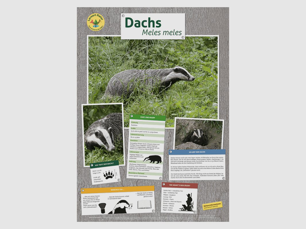 Leerplek Natuur - Das Poster