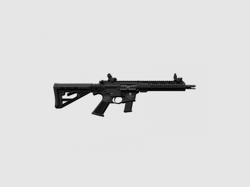 SCHMEISSER AR-15-9 S4F