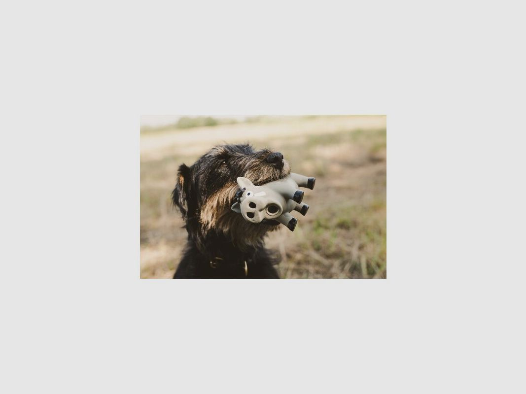 Farm-Land Latex Pig S