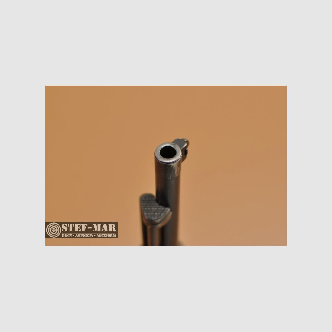 Revolver FN dell’esercito svizzero, cal. 7,5 mm [C5080], immagine 16 di 21