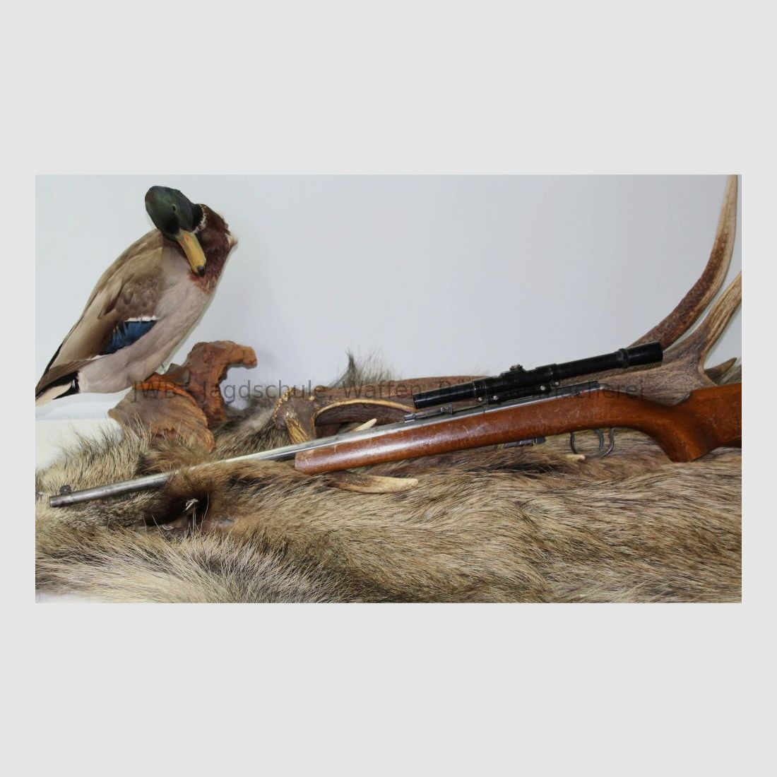 Anschütz 1400 .22lr