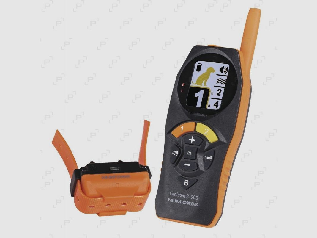 Pack Halsband zur Ausbildung NUM’AXES CANICOM R-500, Bild 1 von 4