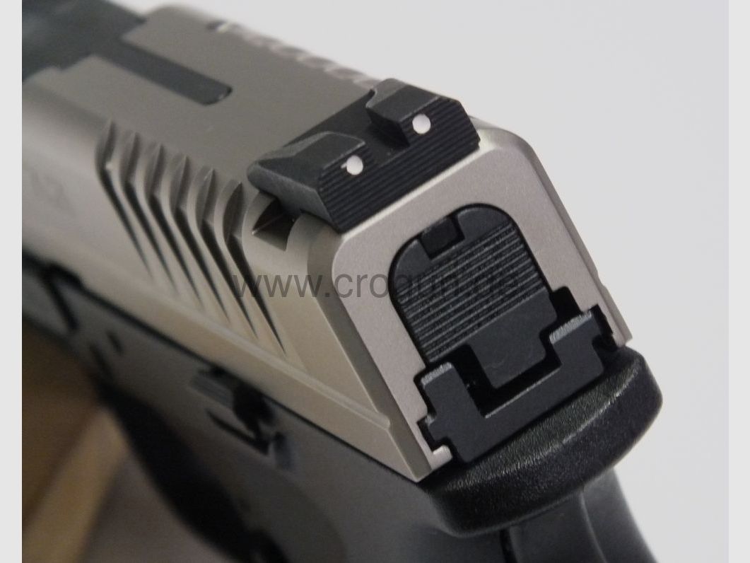 HS Produkt XDS-45ACP 3.3