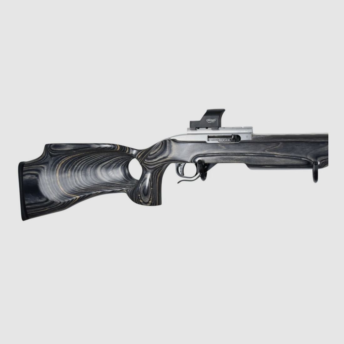 Ruger 10/22