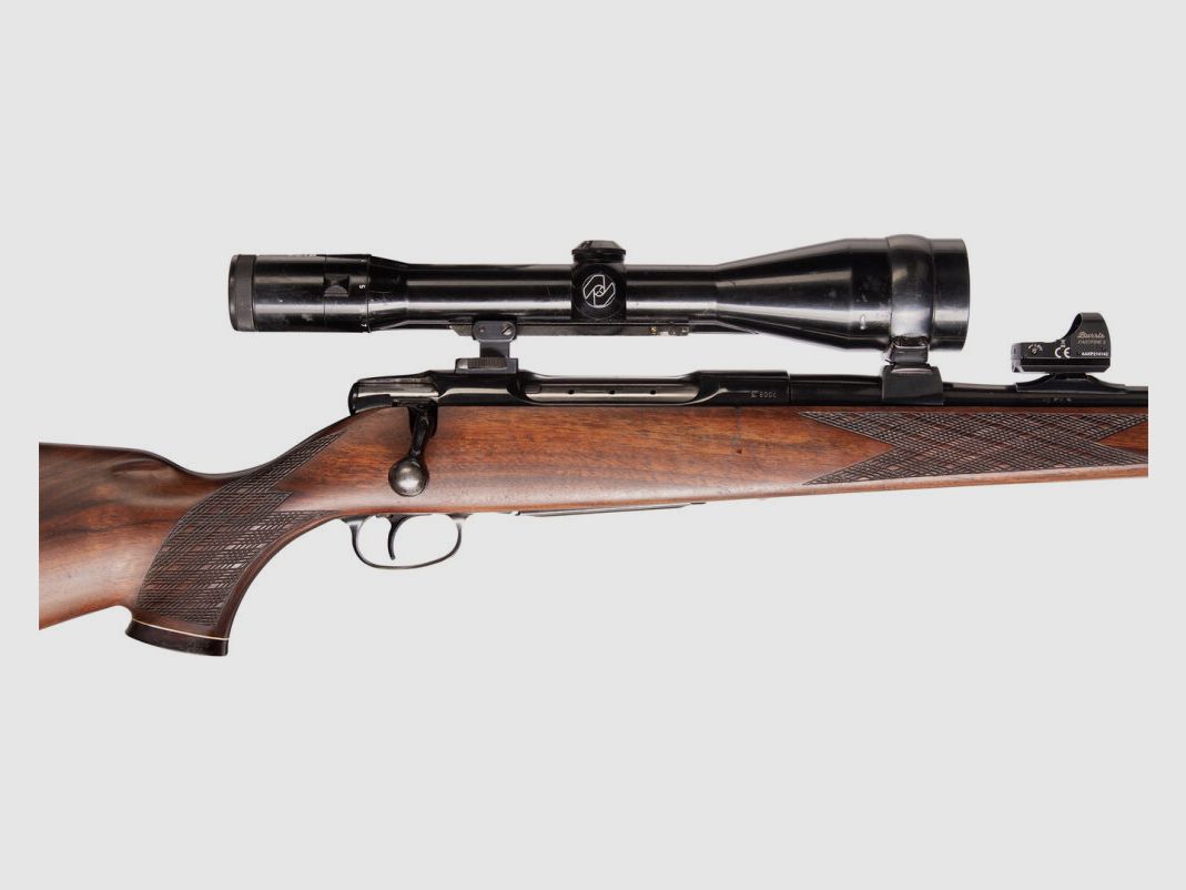 Sauer 80