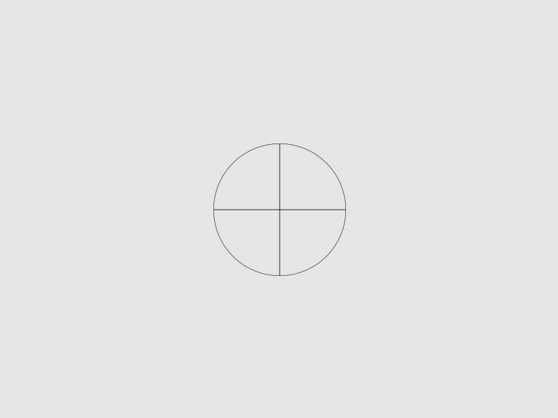 Schmidt Bender 4-16×50 mm LM Ret. A6 (USATO), immagine 6 di 6