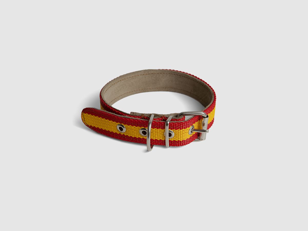 Halsband Spanje en leer (3 cm breed)
