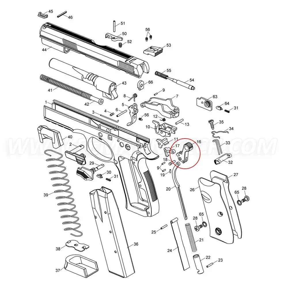 Cane da competizione per CZ 75 / SP01 Shadow, immagine 7 di 7