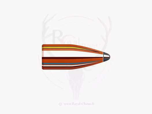 100 ogives Cal.30 D.308 110Grs SP HORNADY