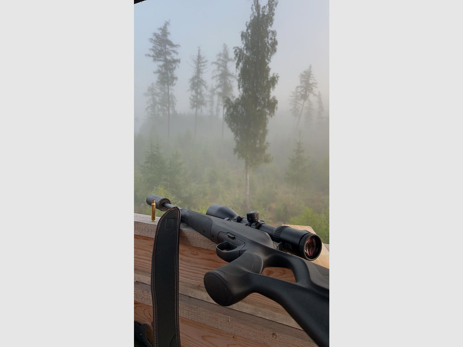 Blaser R8 Professional Success 