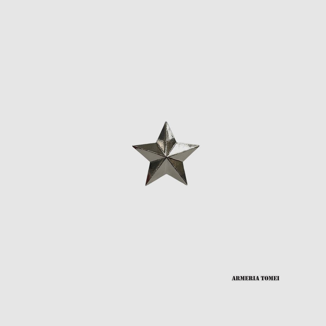 GRANDES ÉTOILES DE MANTEAU (PAIRE)