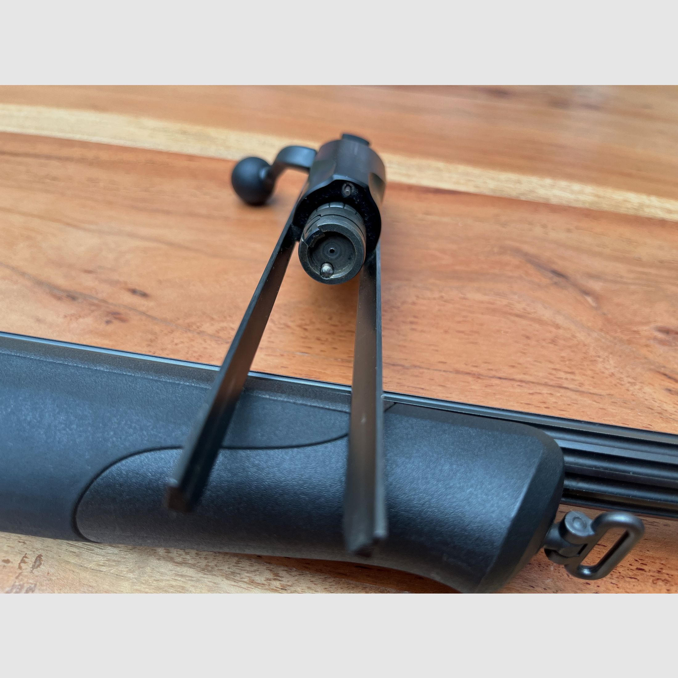 Blaser R8 Professionell Success 