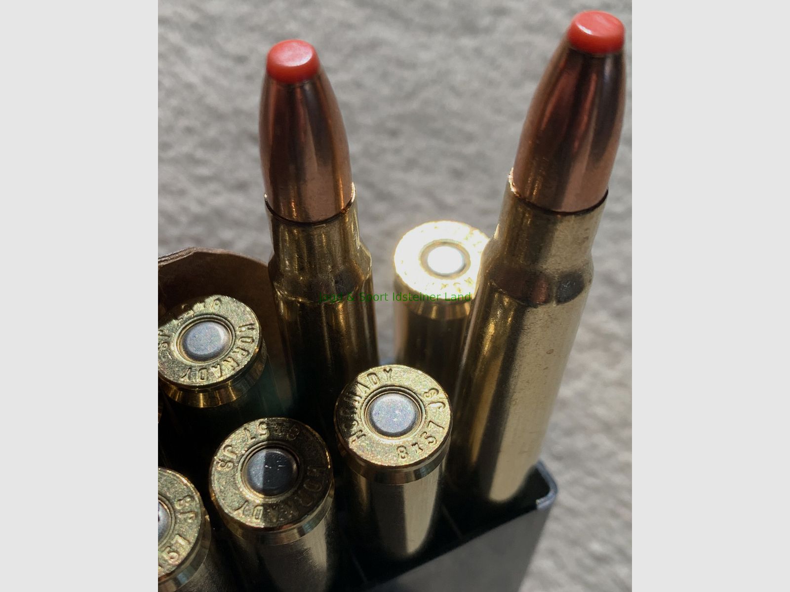 Hornady ECX -bleifrei- 180grs