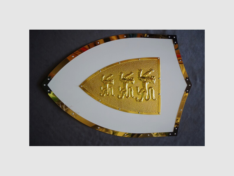 Löwen Ritter Schild mit Metall Beschlägen LARP, Festivals Einzelstück