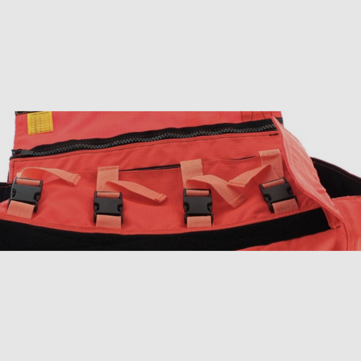 Protect dog ARMOR® V2, immagine 7 di 22