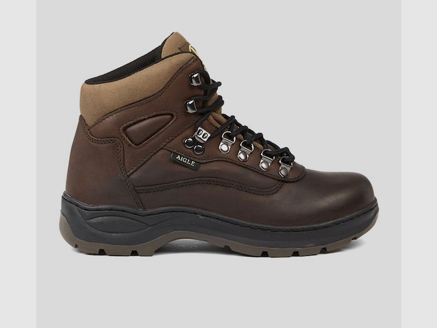 Aigle Picardie