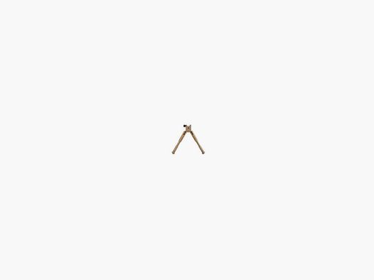 BIPIED CALDWELL PRONE FARBE TAN