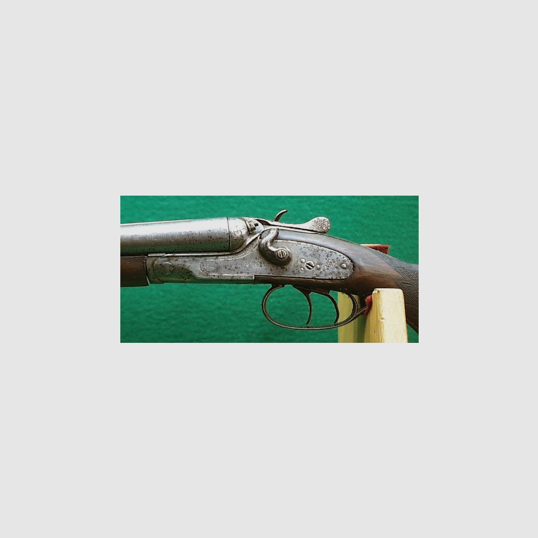 Double shotgun / hammer double shotgun