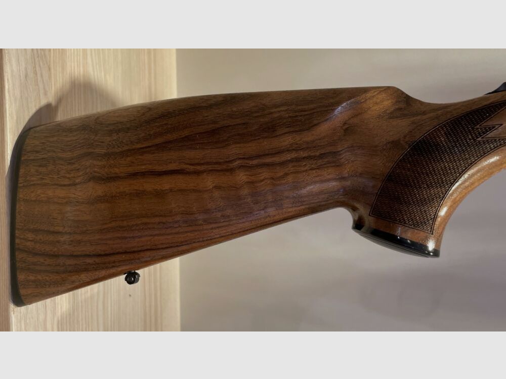 BLASER BBF 95 - incluso scatola di sistema nera !!