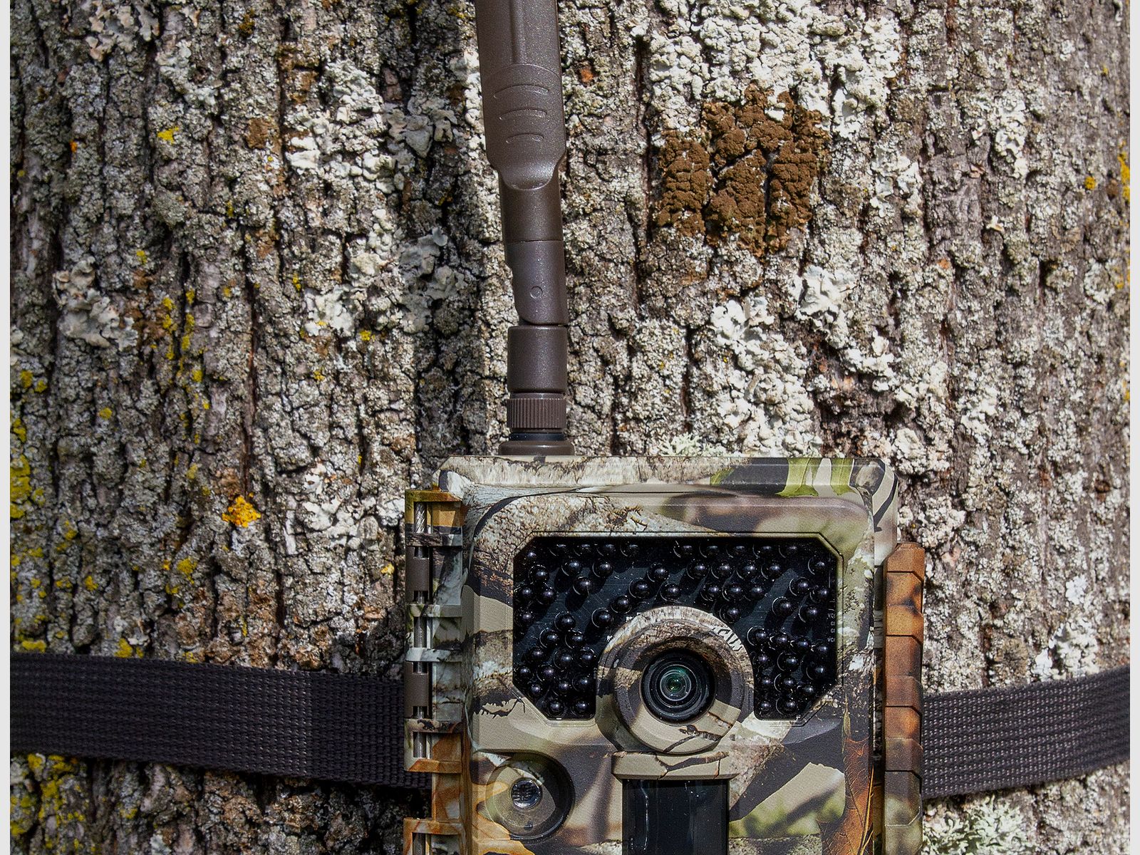 MINOX DTC 1200 Wildkamera