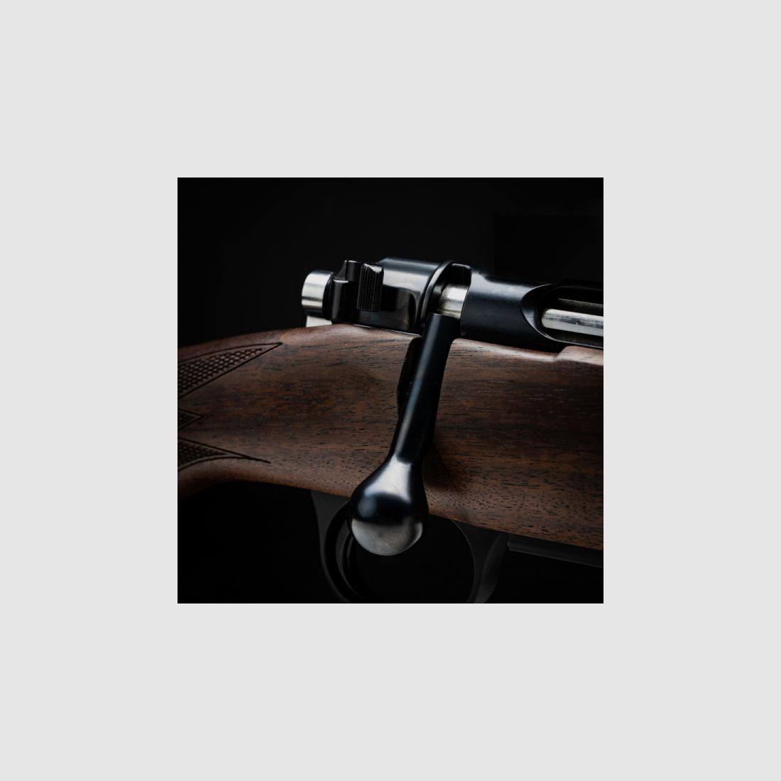 Heym SR21 Blazer-T Repetierbüchse