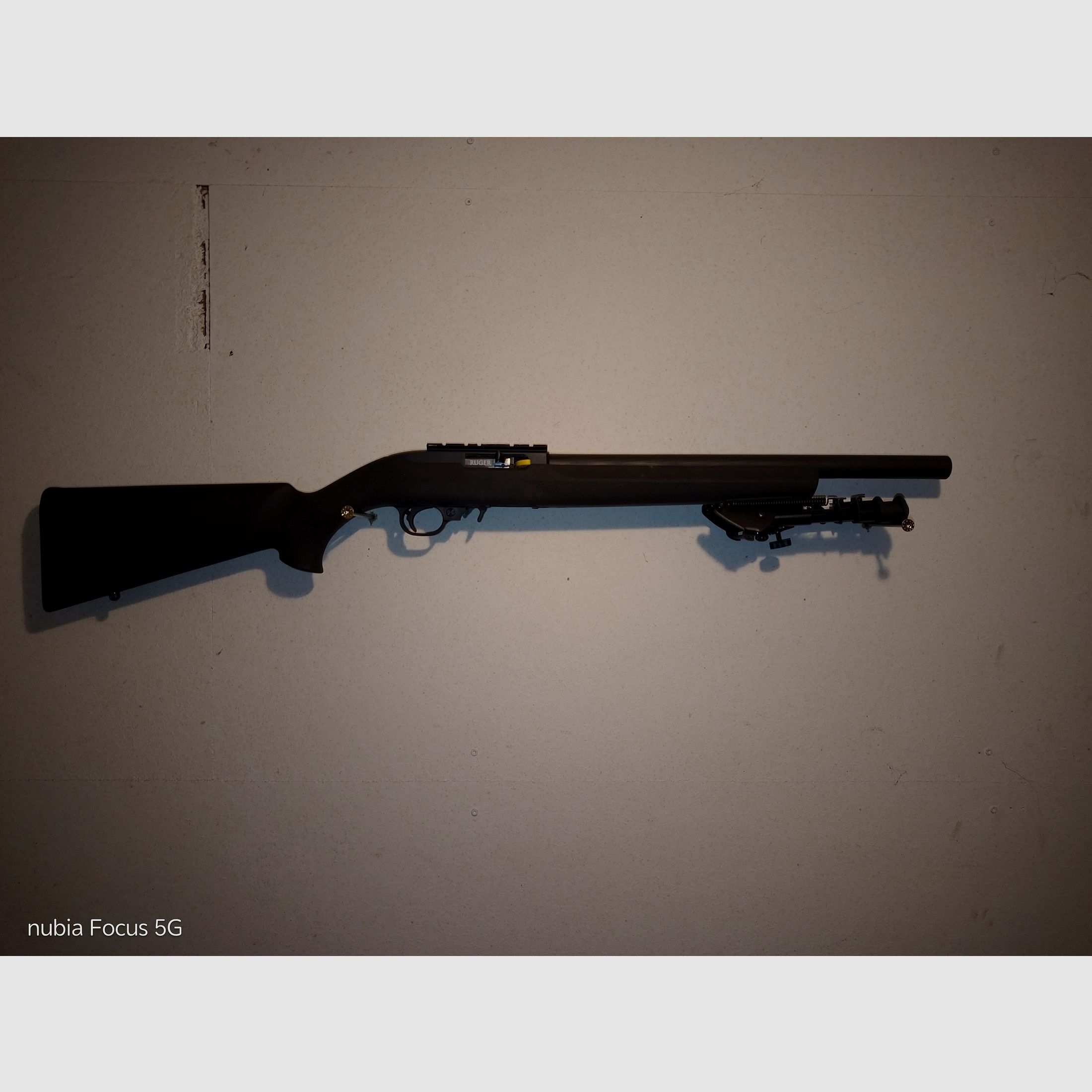 Ruger 10/22 