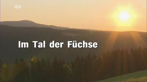 Im Tal der Fuechse - NDR 07.01.2014