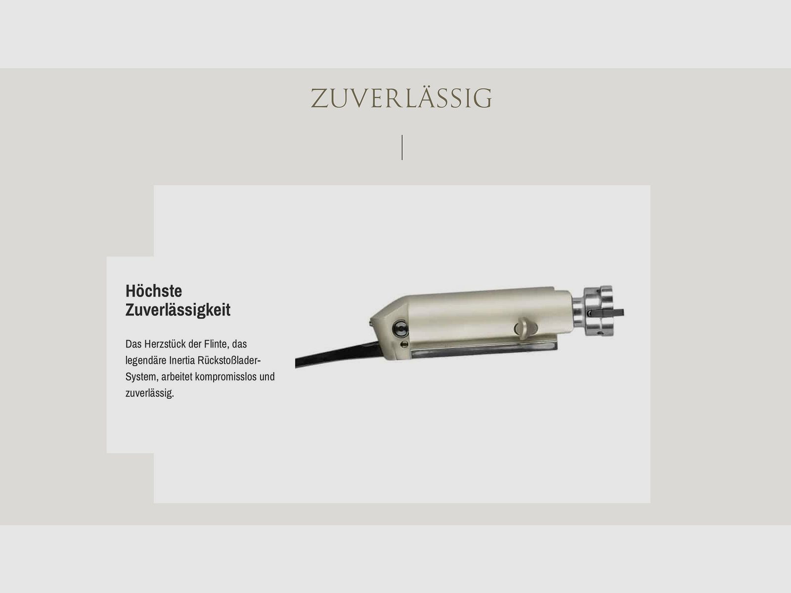 SAUER Selbstladeflinte SL5 XT 12/76 Kunststoffschaft mit Soft Touch Wechselchokes Stahlschrotbeschus, Bild 2 von 3