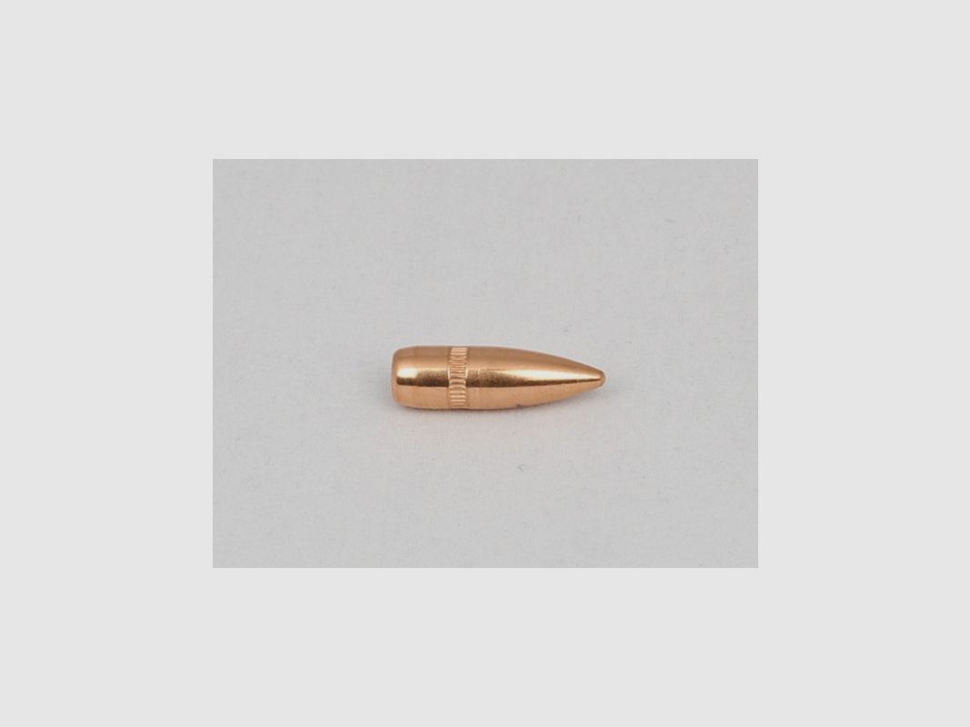 Cam Pro 223 FMJ BT 55 gr (x500)