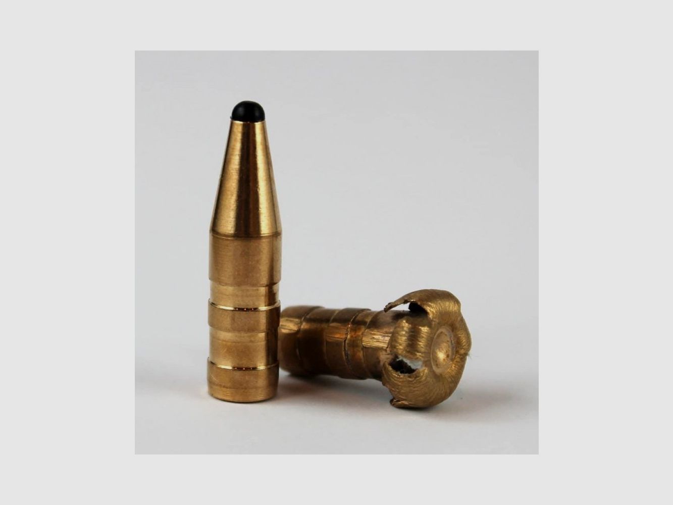 PALLE Fox Classic Hunter Kogels 8 mm ( .323 ) – 160 gr 50 st., afbeelding 2 van 3