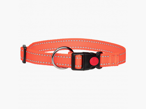 thuis hondenhalsband |