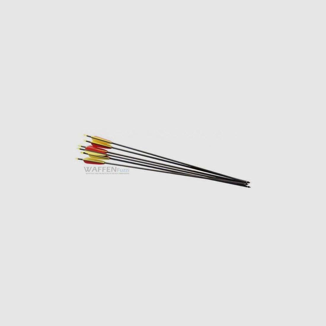 Carbonpfeile 30" 2 Stk. schwarzer Schaft