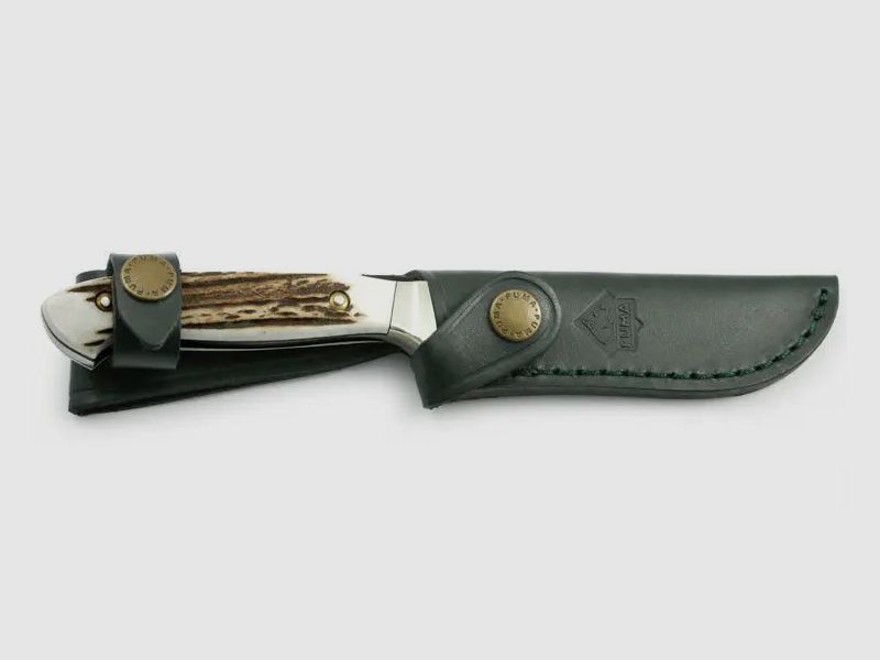 Nóż myśliwski PUMA 240 z inkrustacją złotego grawerunku, zdjęcie 3 z 5