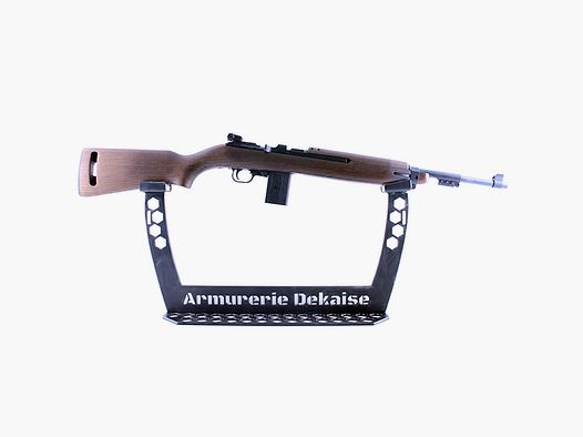 Chiappa m1-22