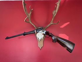 Blaser S2 Double rifle 8x57IRS