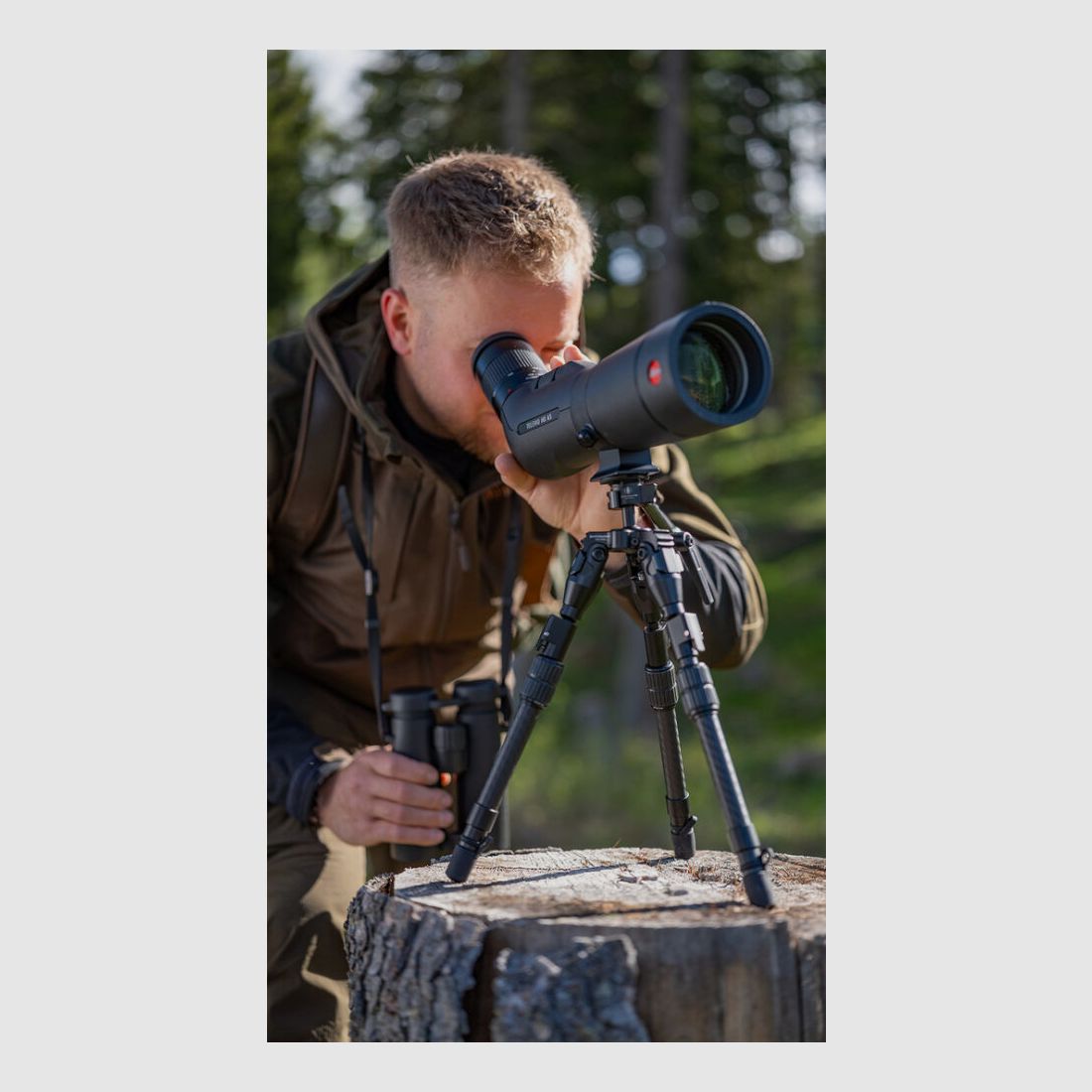 Leica Televid HD65 Set 20-60x